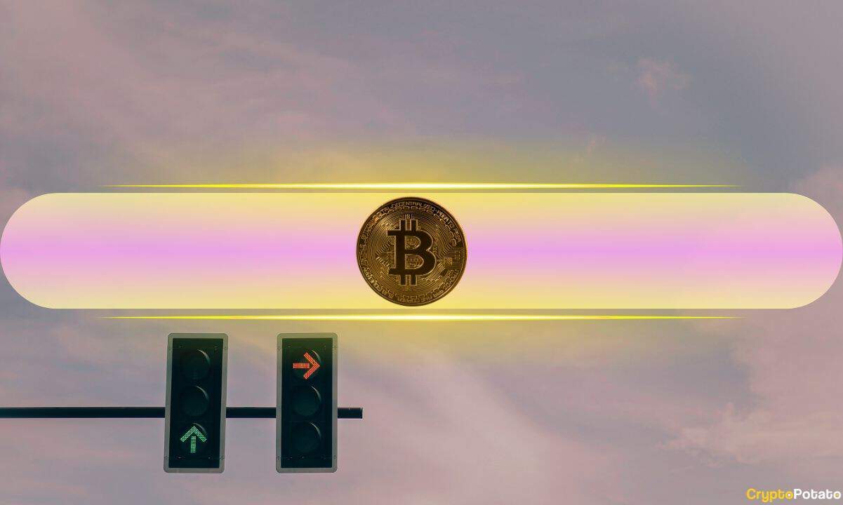 Uzun Vadeli Bitcoin Sahipleri 200 Bin BTC Kaybetti: İşte Bunun Anlamı