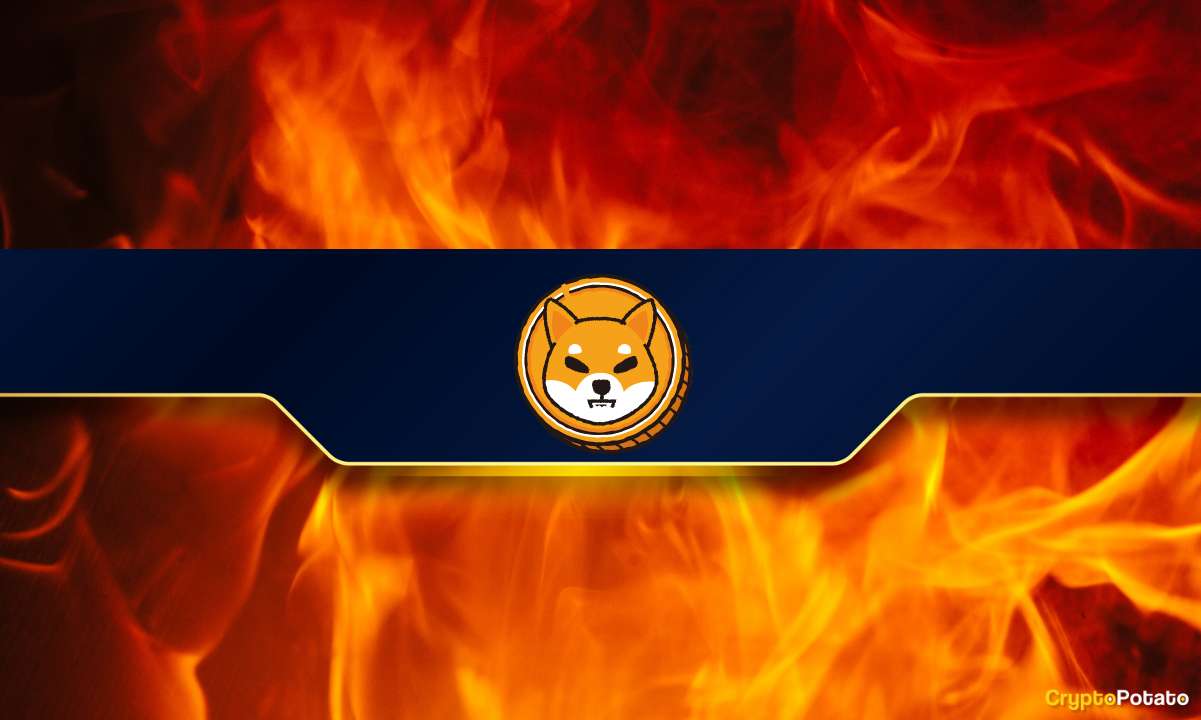 Shiba Inu (SHIB) Yakma Oranı %8.500 Patladı: Fiyat Takip Edecek mi?