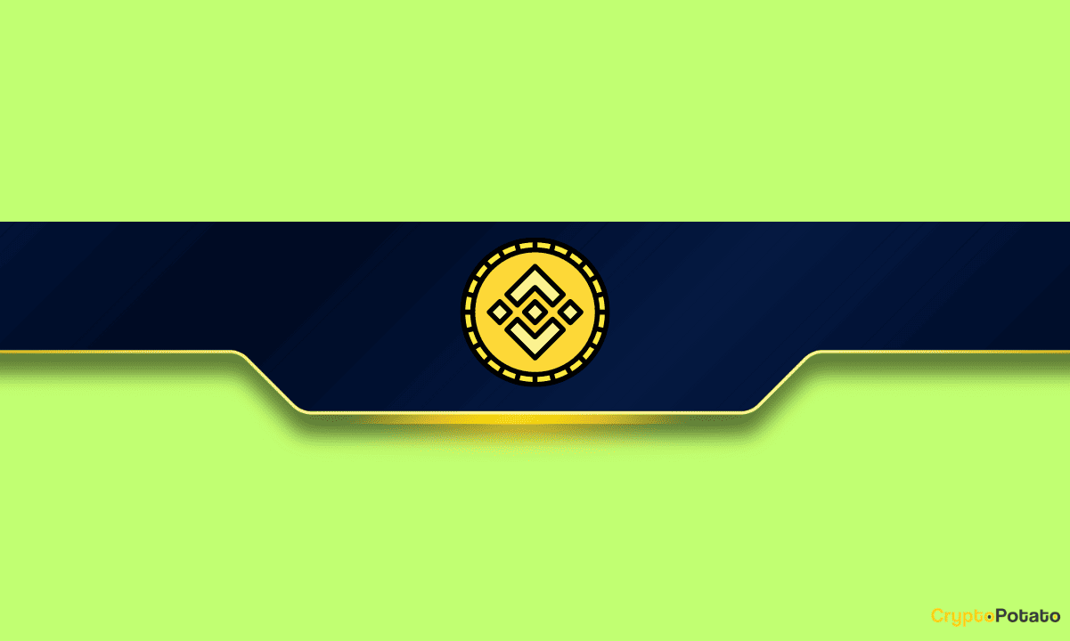 Binance Coin (BNB) Fiyat Yükselişinin Arkasındaki Olası Nedenler