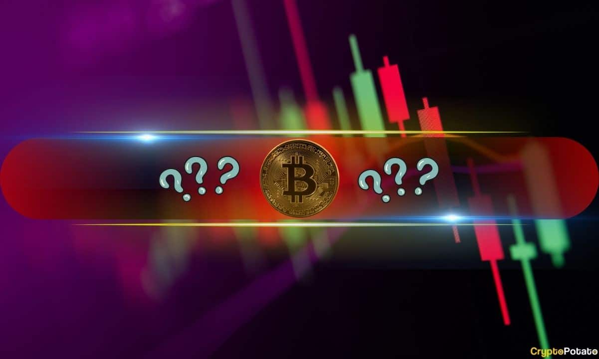 Bu Altcoinler En Çok Düşerken Bitcoin 51 Bin Dolarla Mücadele Ediyor (Piyasa İzleme)