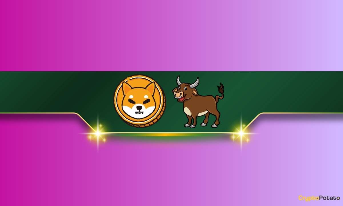 Önemli Shiba Inu Metriklerinde Büyük Artış: SHIB Boğa Koşusu Yaklaşıyor mu?