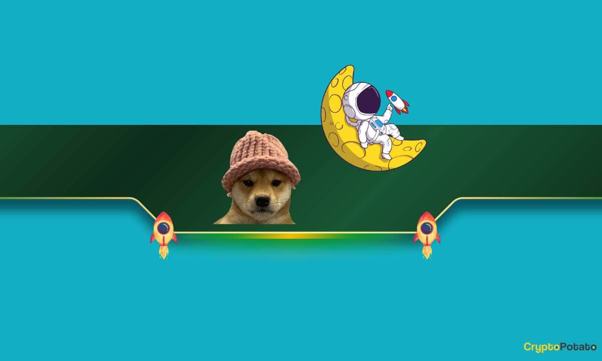 Solana Meme Coin WIF, %100 Aylık Artışın Ardından Yeni Bir ATH'ye Patladı: Ayrıntılar