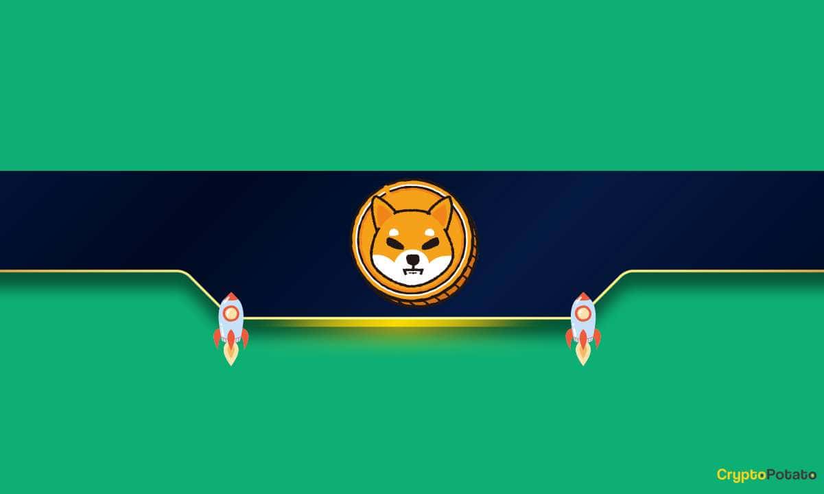 Meme Coin Savaşı: Balinalar PEPE'yi Bırakıyor ve BONK, SHIB biriktiriyor