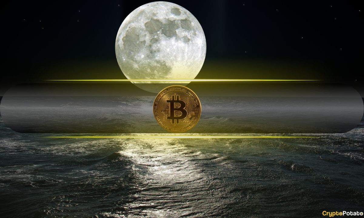 Bitcoin'in 64 Bin Dolara Yükselmesinden Sonra Mart Ayında Neler Beklenecek: Santiment
