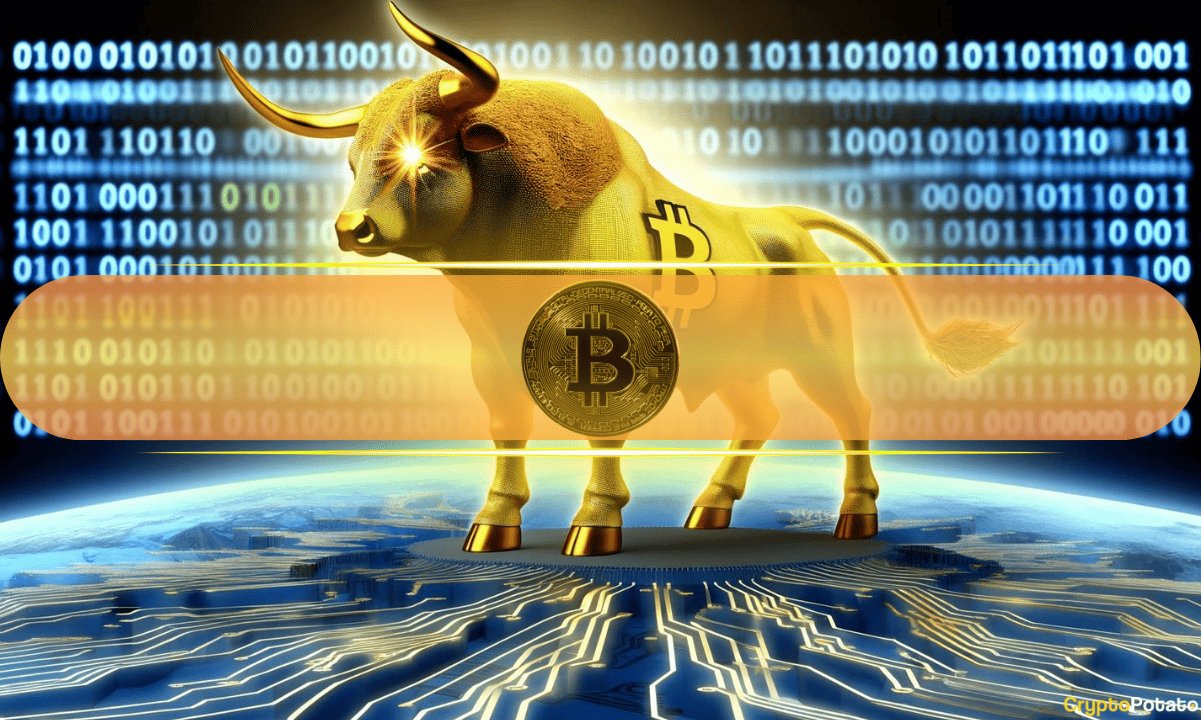 Bitcoin Yatırımcılarının Güç Kazanmasının İki Nedeni