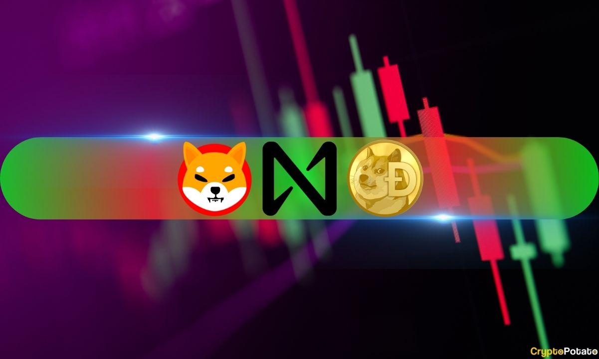 DOGE, SHIB Çift Haneli Düştü, NEAR Günlük %26 Yükseliyor (Piyasa İzlemesi)