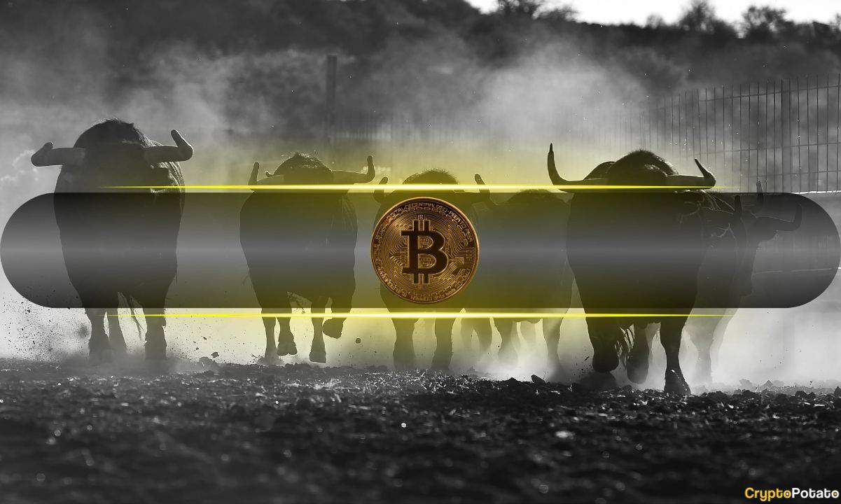 Bitcoin Tedarik Dağıtımı Başlıyor Ancak Boğa Piyasası Devam Ediyor: Analiz