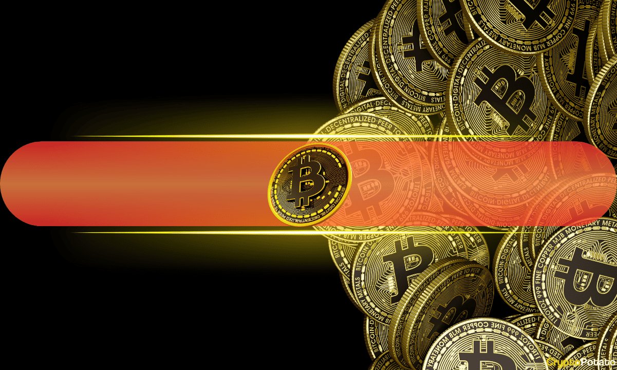 Bitcoin Birikimi Adresleri Düzeltme Riski Görünürken Kayıt Girişlerini Görüyor: CryptoQuant