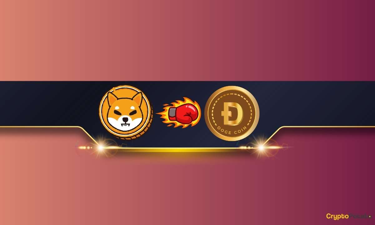 Shiba Inu (SHIB), Bu Temel Ölçüde Dogecoin'i (DOGE) Geride Bıraktı: Ayrıntılar