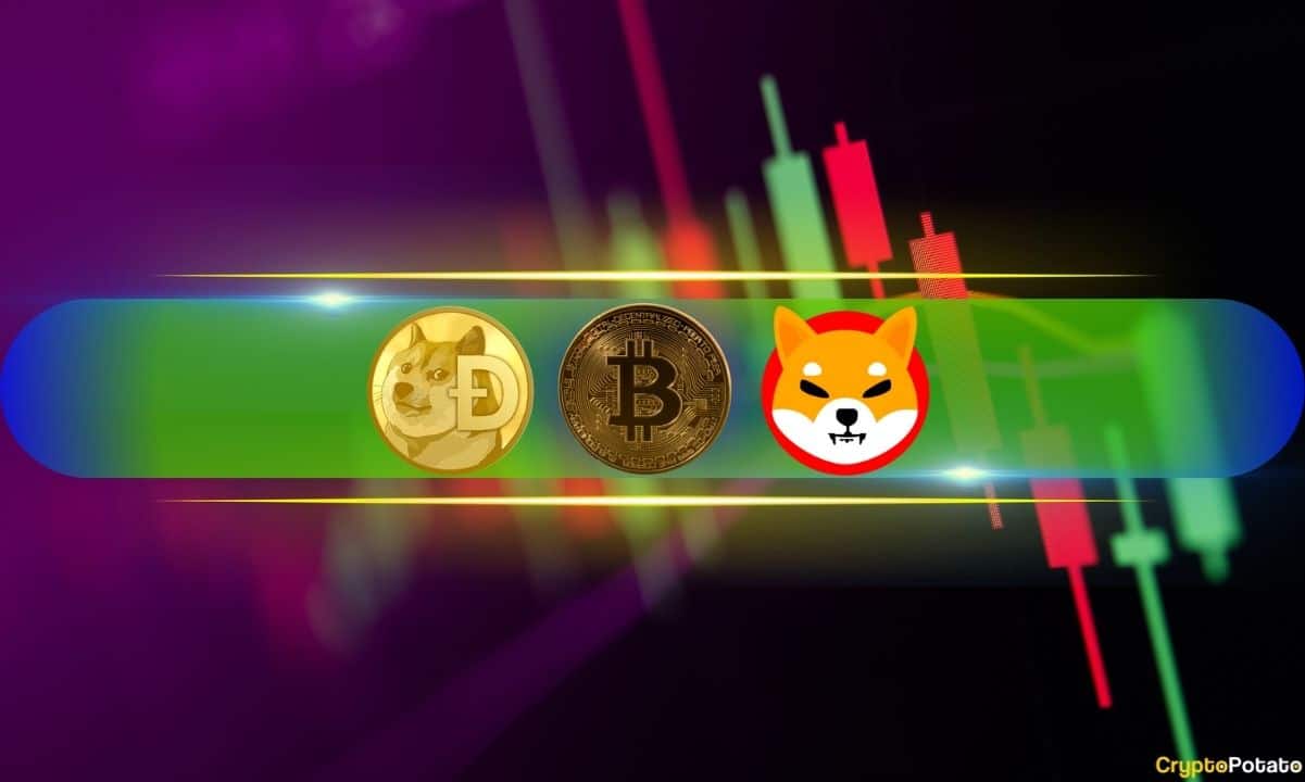 Bitcoin 10 Günün En Düşük Seviyelerine Düştü, DOGE ve SHIB Çift Haneli Kaybedenler Arasında (Hafta Sonu İzlemesi)