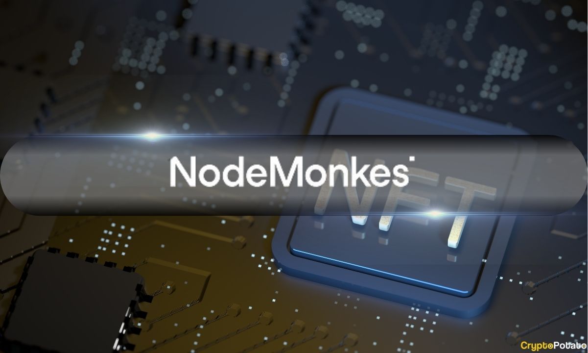 Bitcoin Ordinalleri NFT Çılgınlığı: NodeMonkes Taban Fiyatta %53 Artış Gördü