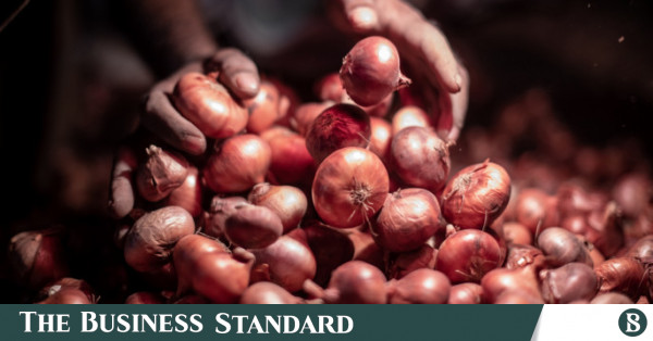 Hindistan, genel seçimler öncesinde soğan ihracatı yasağını süresiz olarak uzattı