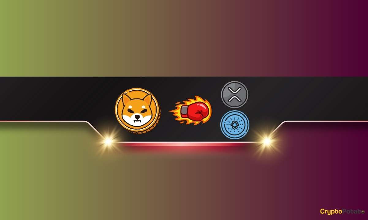 Shiba Inu (SHIB), Bu Temel Ölçüde Ripple (XRP) ve Cardano'dan (ADA) Daha İyi Performans Gösteriyor