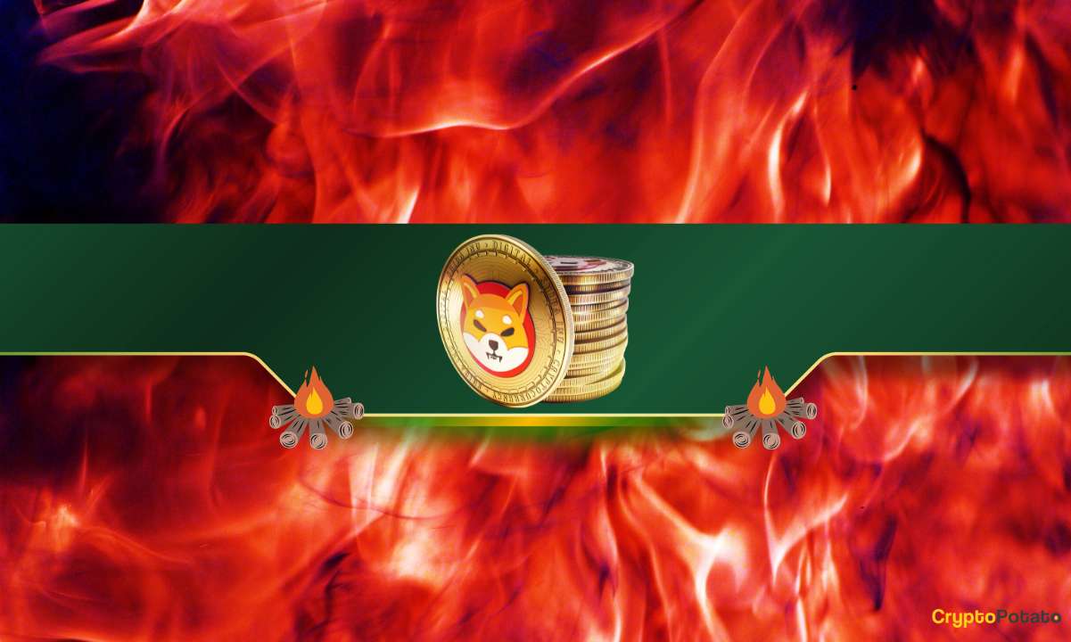 Shiba Inu Yanma Oranı %1.200 Arttı: SHIB Boğa Koşusuna Hazır mı?