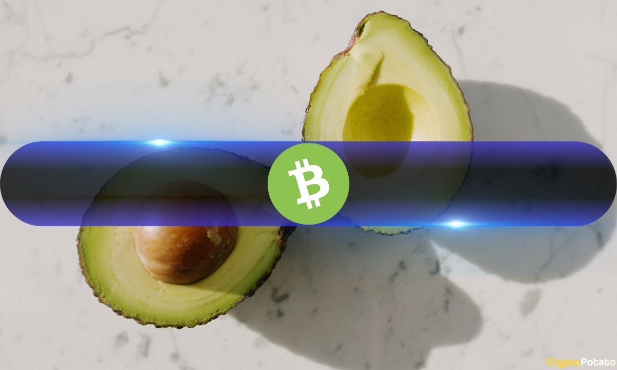 Halving'e 4 Gün Kaldı: Bitcoin Cash Fiyatı BCH Açık Faiziyle Birlikte Yükseliyor