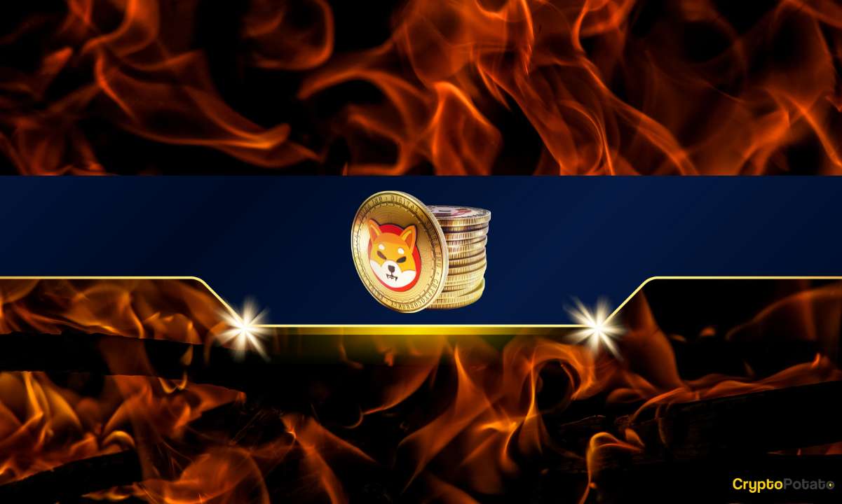 Mart ayında SHIB Boğa Koşusu Hızlanırken Shiba Inu Yanma Oranında Büyük Artış