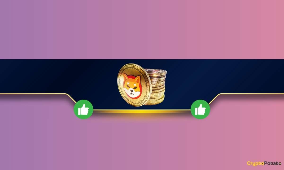 Shiba Inu'yu (SHIB) Şimdi Satın Almalı mısınız? Bu Bitcoin Destekçisi Öyle Düşünüyor