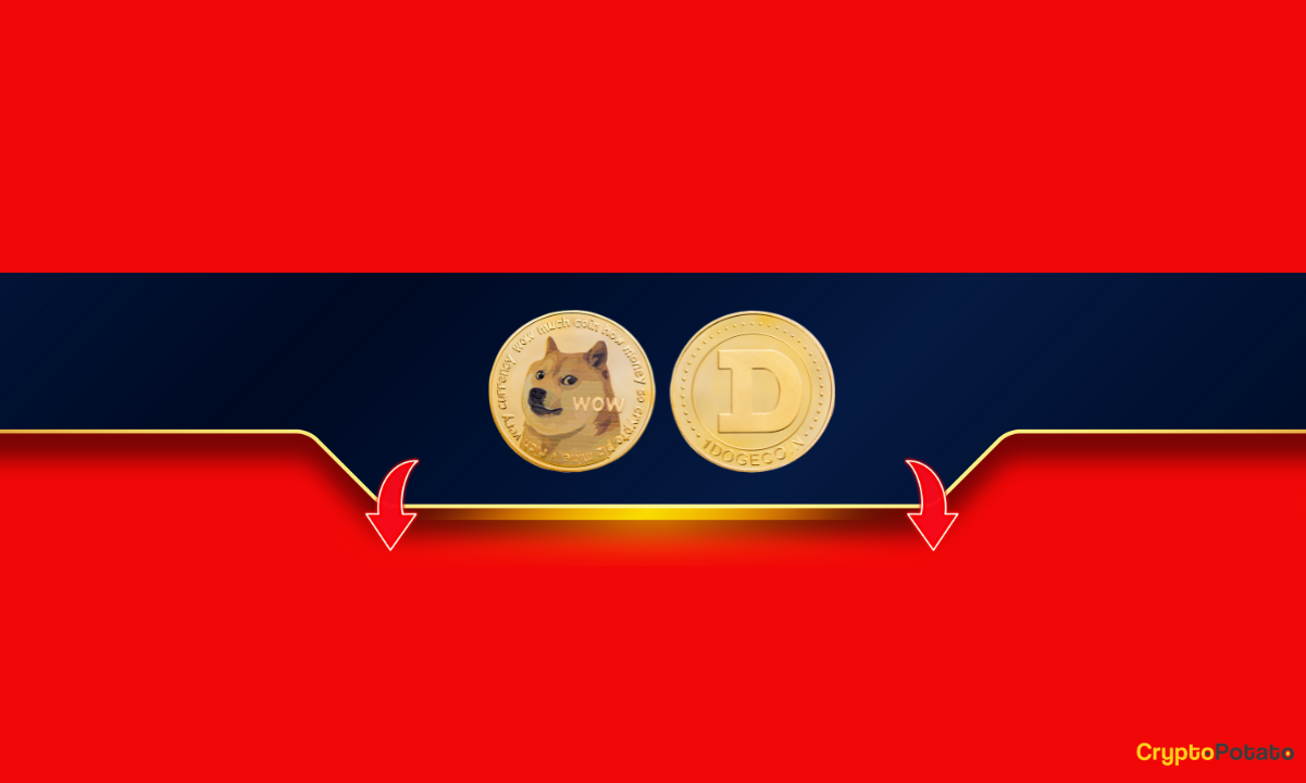 Dogecoin (DOGE) Fiyatı Geniş Piyasa Gerilemesi Ortasında %14 Düştü