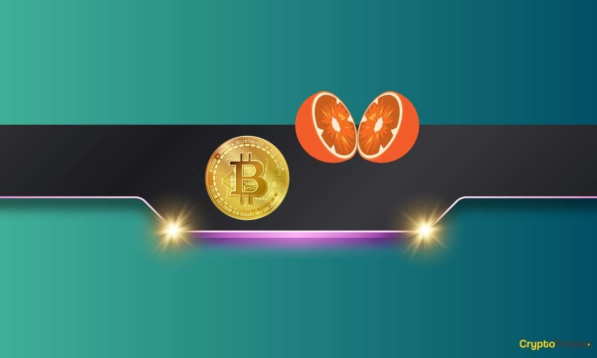 Bitcoin'in Temelleri Bugünün 65 Bin Doların Altındaki Çöküşüne Rağmen Yükselişini Sürdürüyor