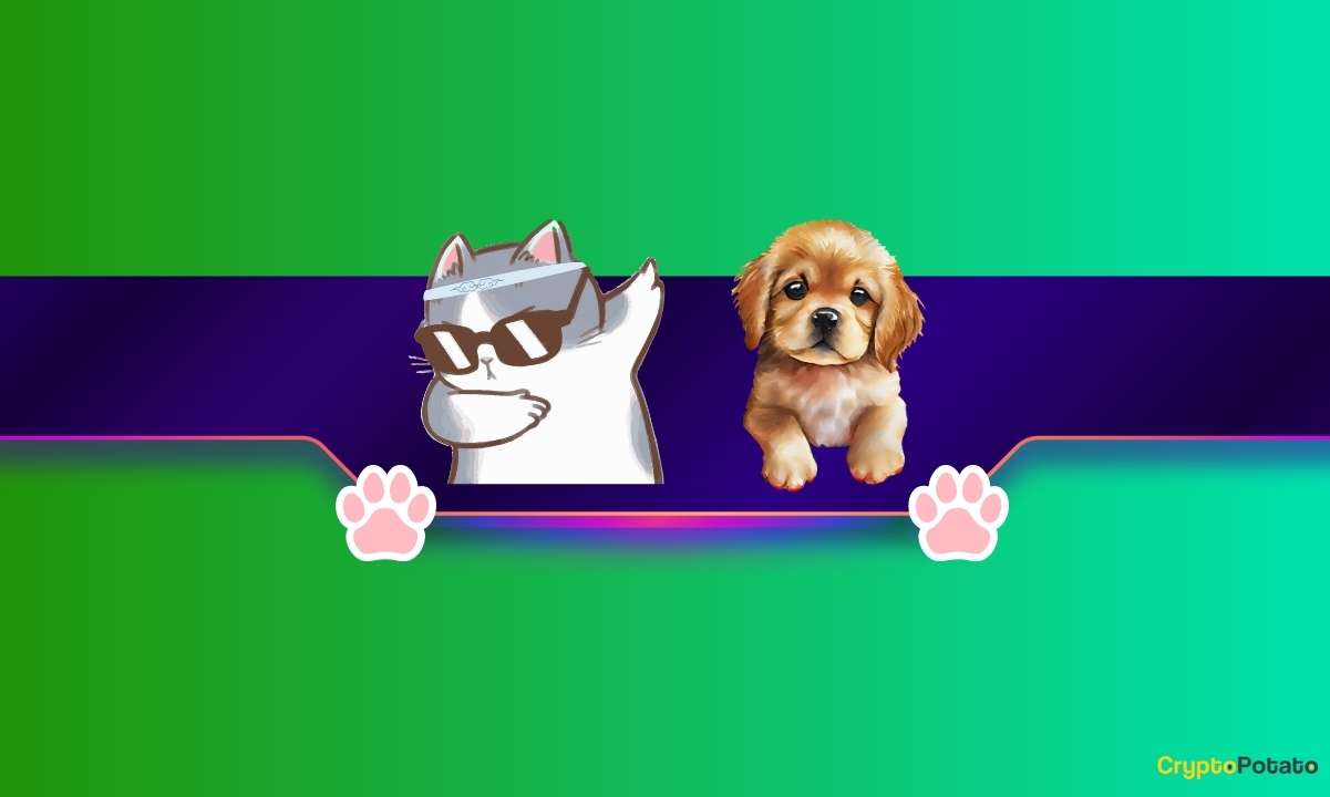 Yeni Meme Coin Trendi mi? Cat Tokenları Devraldı