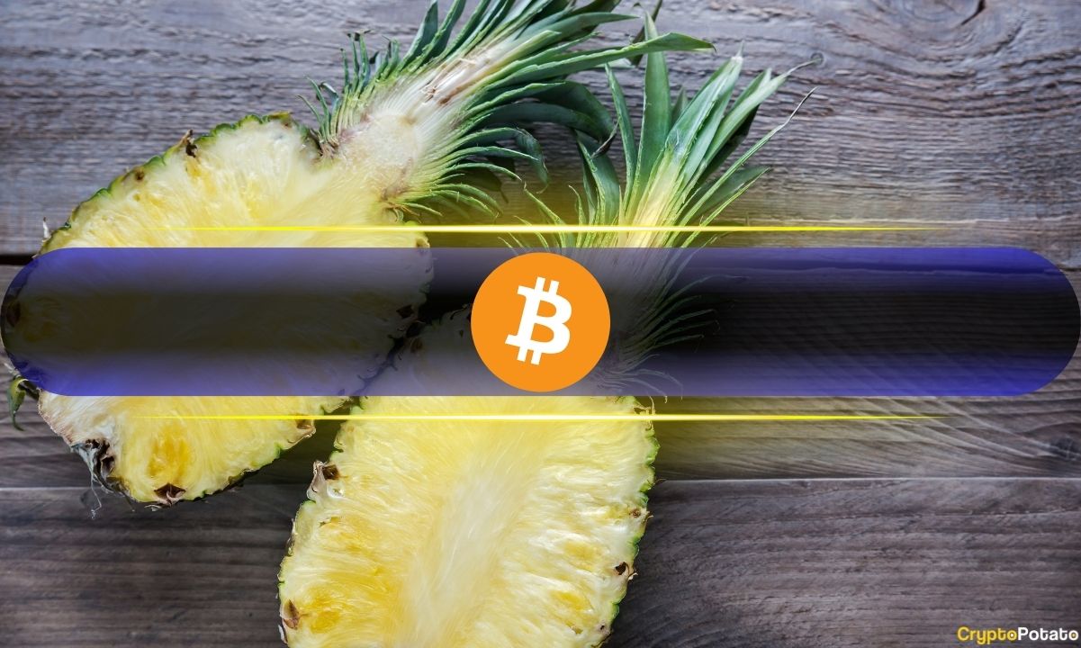 Bitcoin'in Şu Anki %18'lik Geri Çekilmesi Plana Uygun ve Aslında İyi Bir Haber: İşte Nedeni