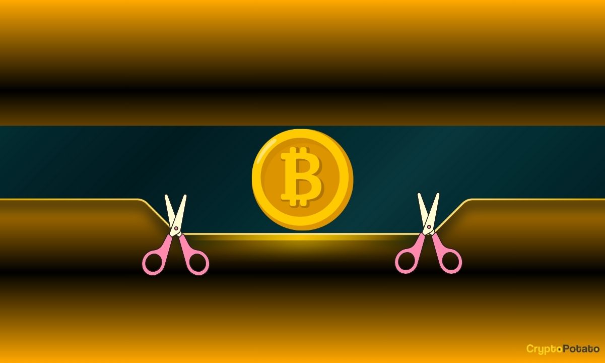 Bu Bitcoin Halving Stratejisi Gerçekten En Kârlı mı?