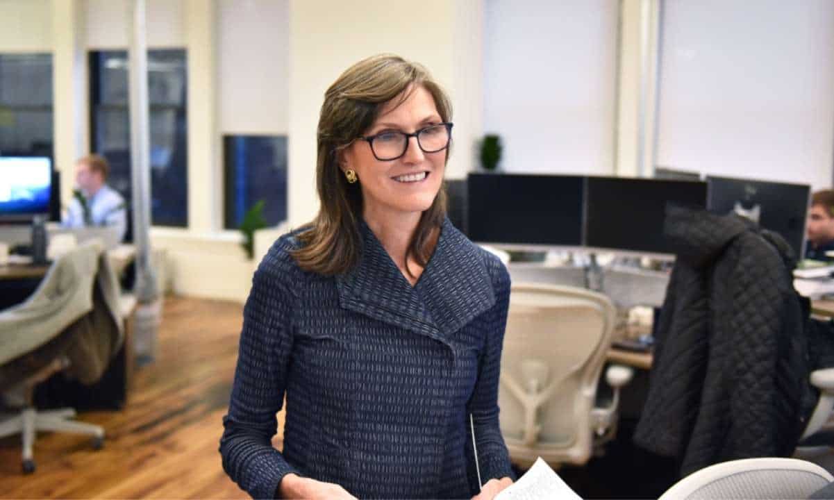 Cathie Wood'un ARK Invest'i Yanlışlıkla 15.000 Dolarlık Bitcoin Kuklasının Sahibi Oldu