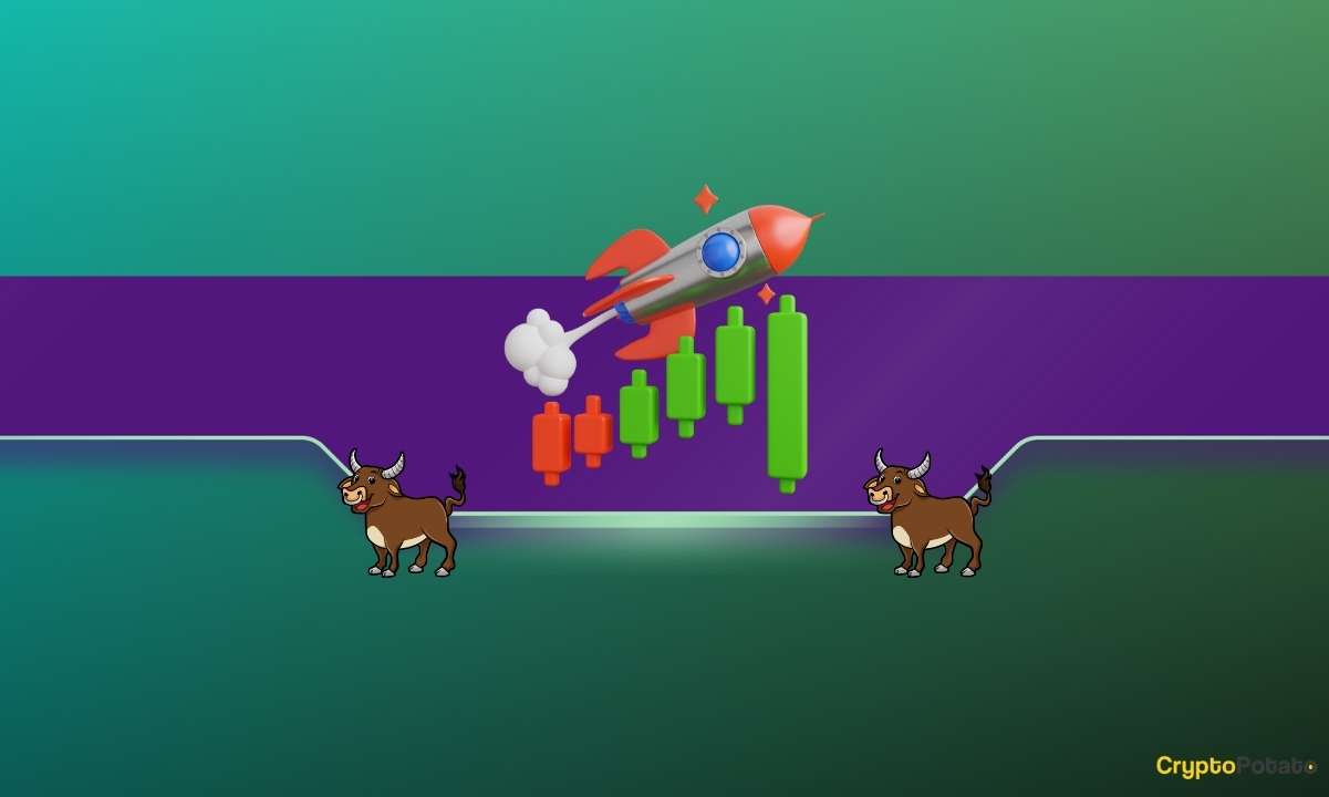 Ripple CEO'su 2024 İçin Oldukça Yükseliş Tahmininde Bulunuyor