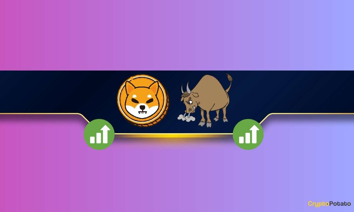 Kritik Shiba Inu Metrik SHIB Fiyat Rallisi Ortasında %50 Arttı: Ayrıntılar