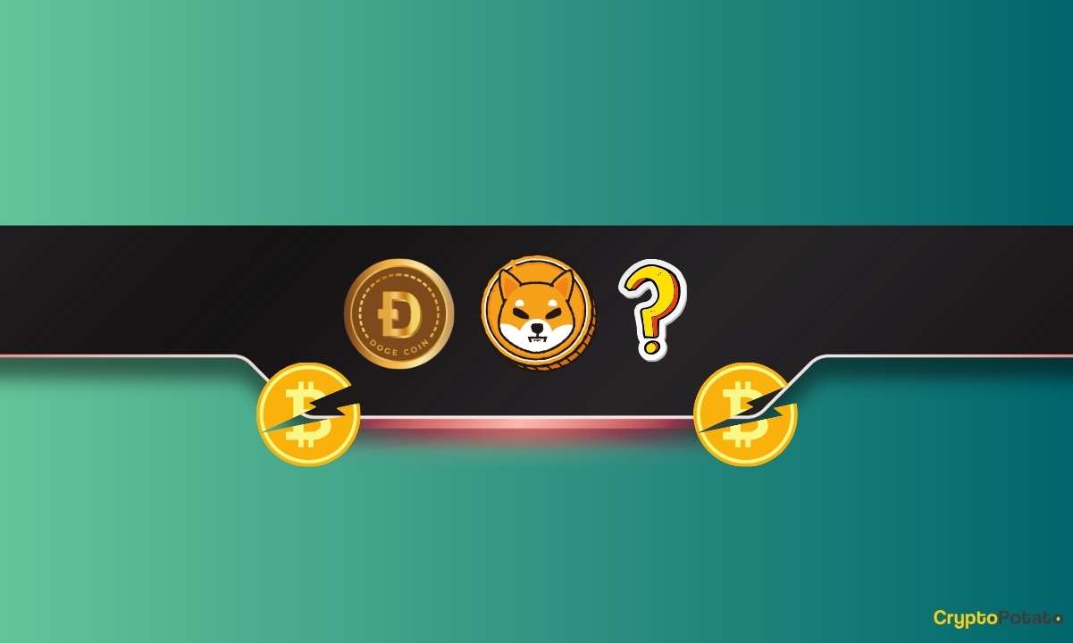 ChatGPT, Bitcoin (BTC) Halving'den Sonra Hangi Meme Coin'in En İyi Performansı Göstereceğini Analiz Ediyor