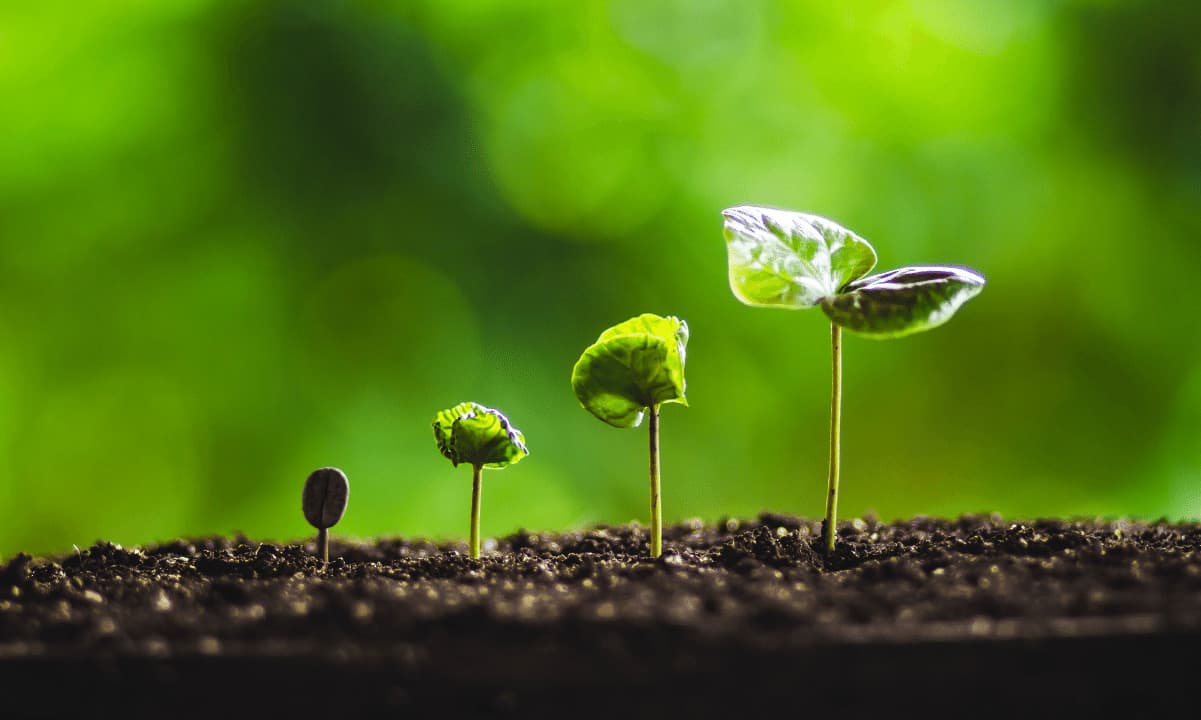 CEX İşlem Hacmi Ekim 2023'ten Bu Yana Neredeyse Üç Katına Çıktı: Bybit