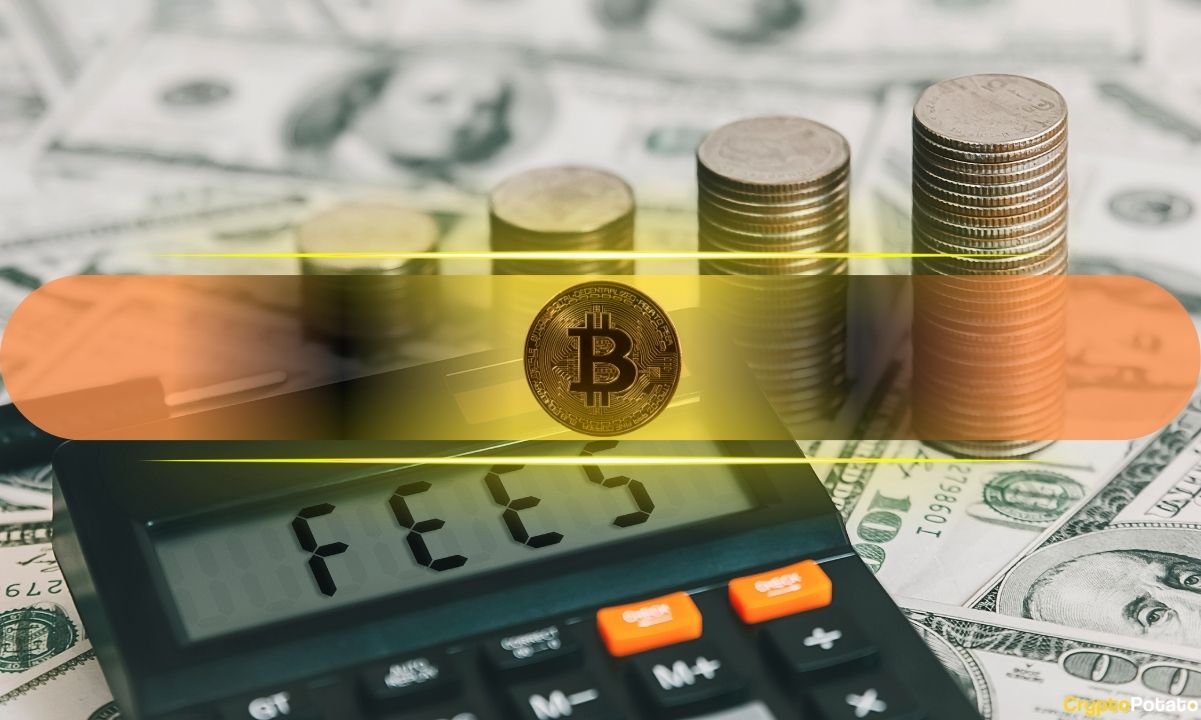 Halving Sonrası İşlem Ücretleri Bitcoin Madencilerinin Gelirinin %35'ine Düştü: CryptoQuant