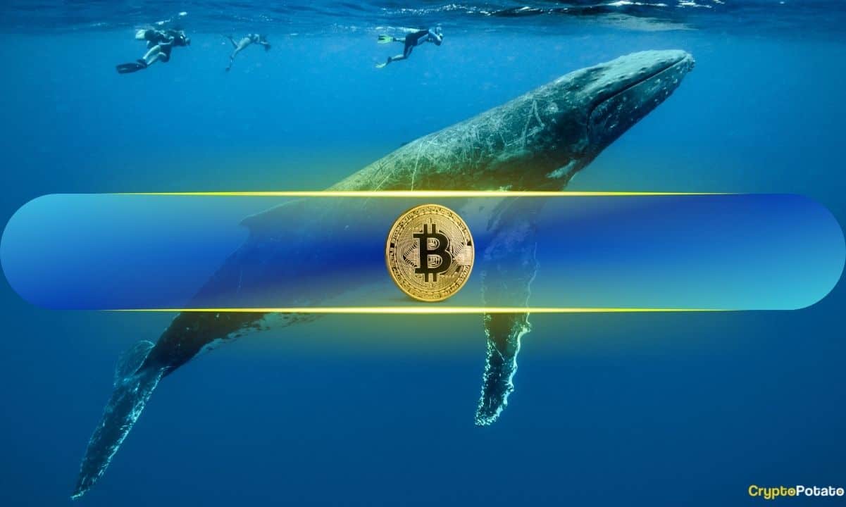 Borsa Girişi Artışı: Bitcoin Balinaları Kar mı Alıyor?