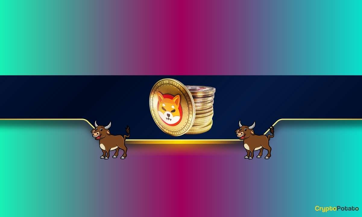 SHIB Satın Alma Zamanı mı? Popüler Analistlerin %300 Shiba Inu Fiyat Rallisi Üzerine Bahisleri