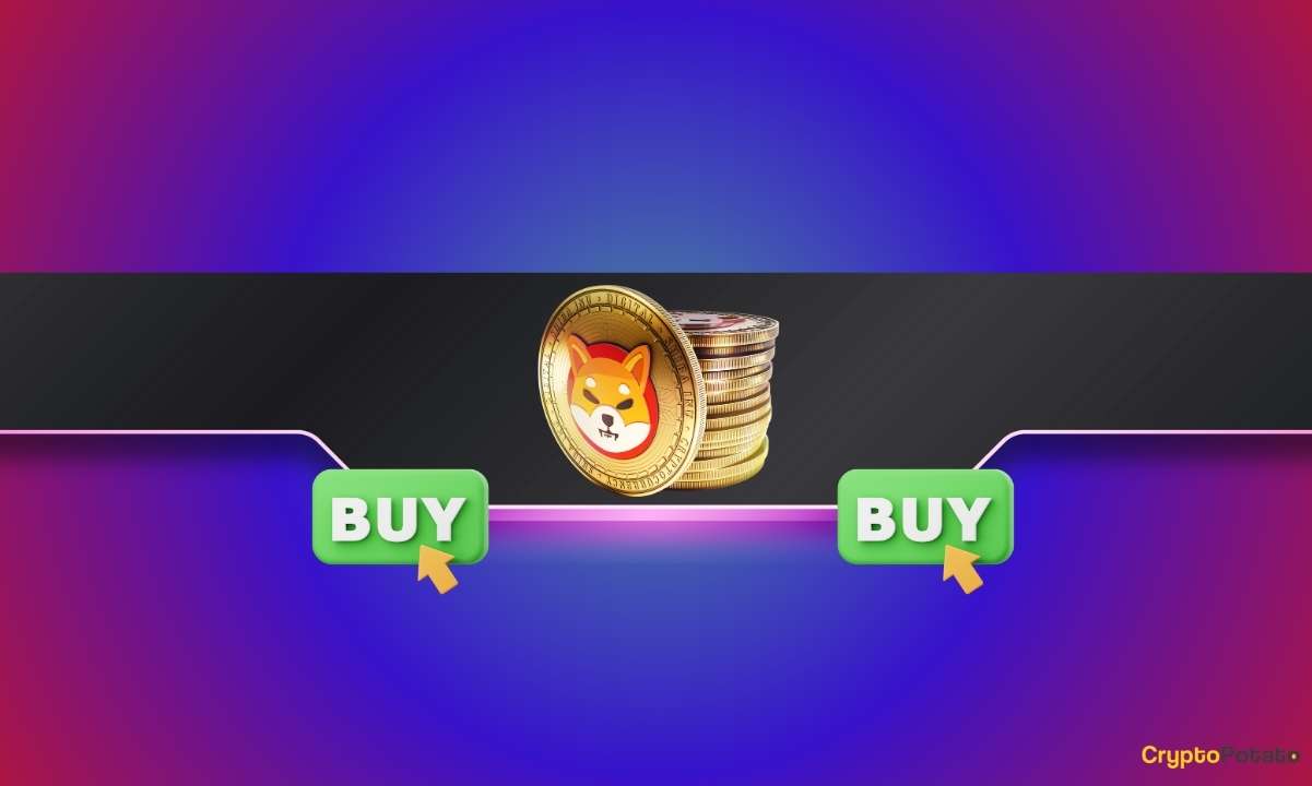 SHIB Satın Alma Zamanı Geldi mi? Bu Analist Düşüncelerini Anlatıyor