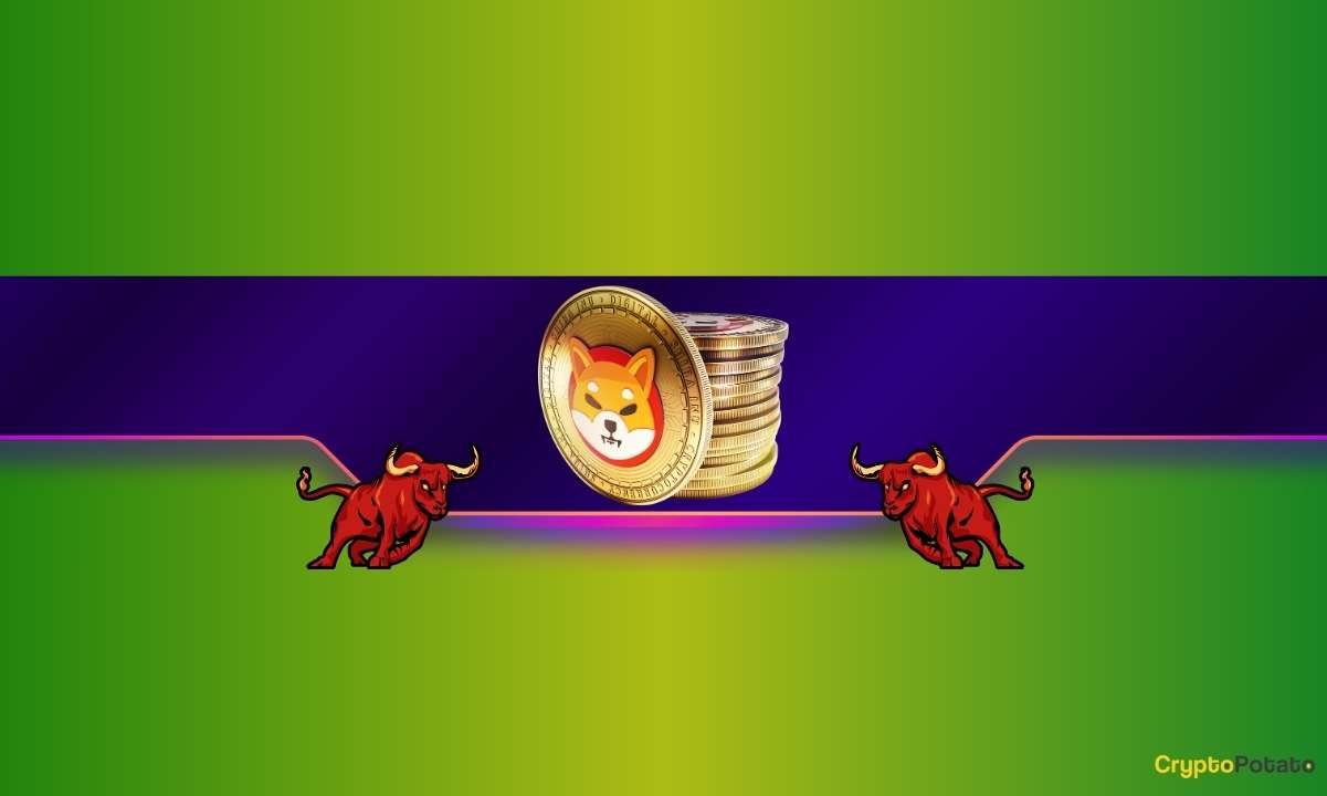 Bu SHIB Metrikleri Yükselirken İzlenecek En İyi Shiba Inu Fiyat Tahminleri