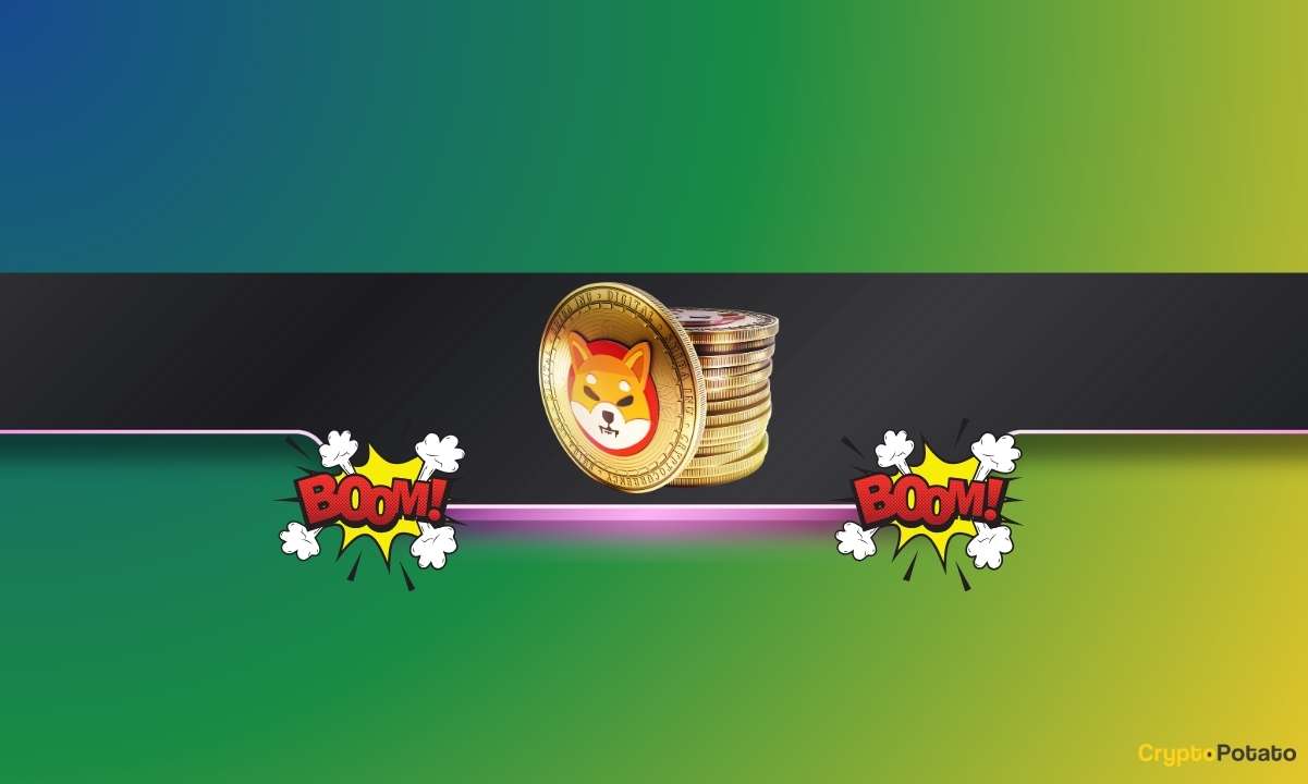 Önemli Shiba Inu Metriği, SHIB Fiyatı Arttıkça %2.300 Patladı: Ayrıntılar