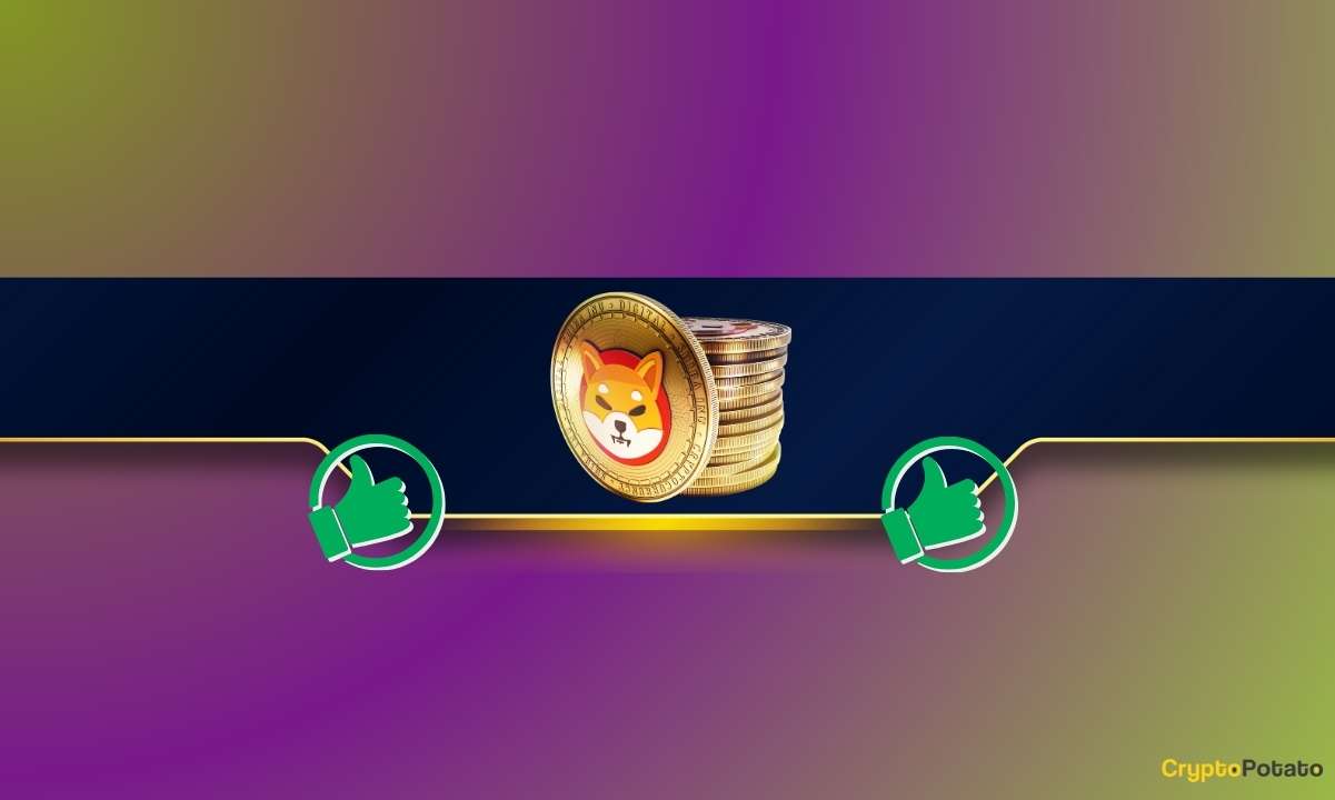 Shiba Inu'nun Evlat Edinilmesi: İnsanlar Artık Airbnb'den Rezervasyon Yapabilir veya SHIB Aracılığıyla Nike Kıyafetleri Satın Alabilir