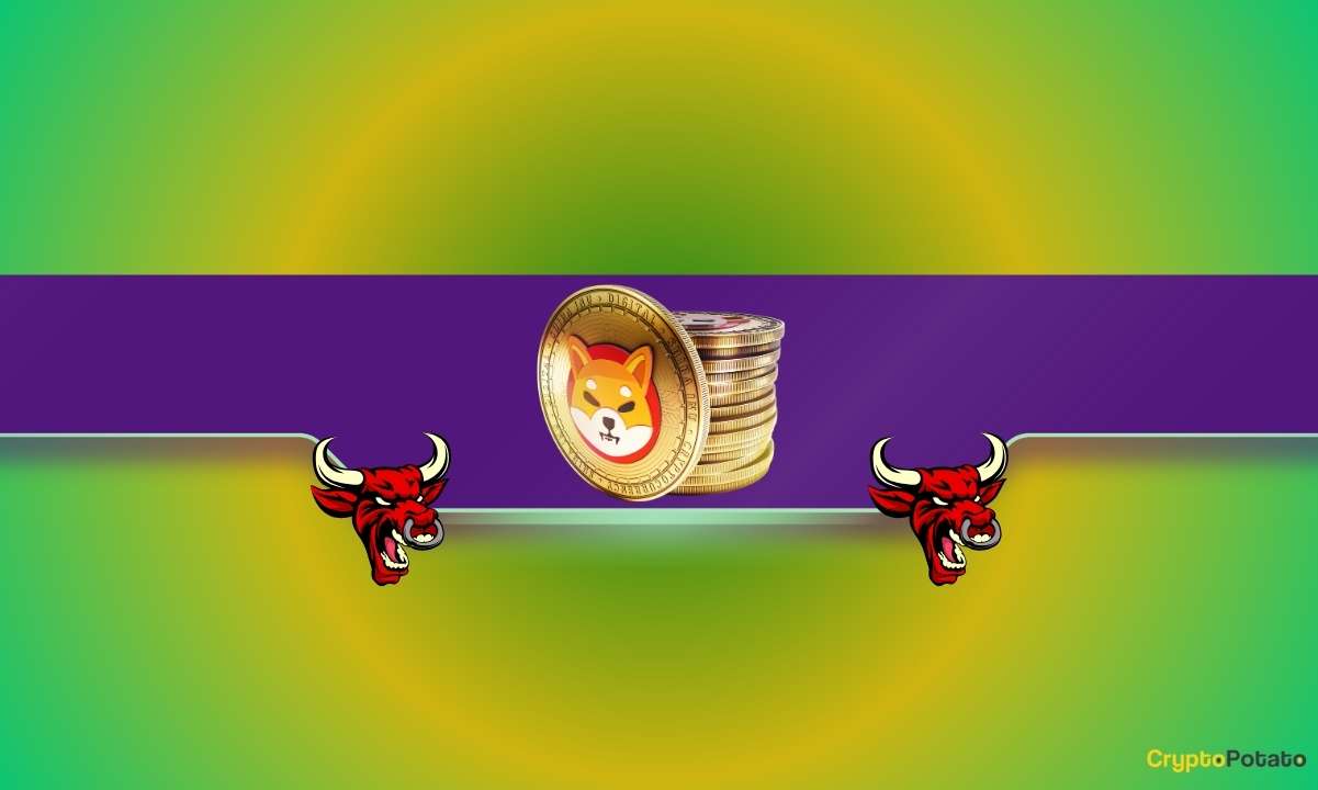 Shiba Inu (SHIB) Fiyat Tahmini: %50 Artış Geliyor Ancak Bir Sıkıntı Var (Analist)