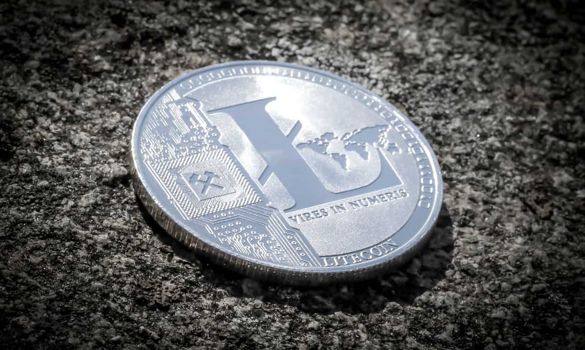 İşte LTC Litecoin Balinalarının Son 30 Günde Ne Kadar Biriktiği