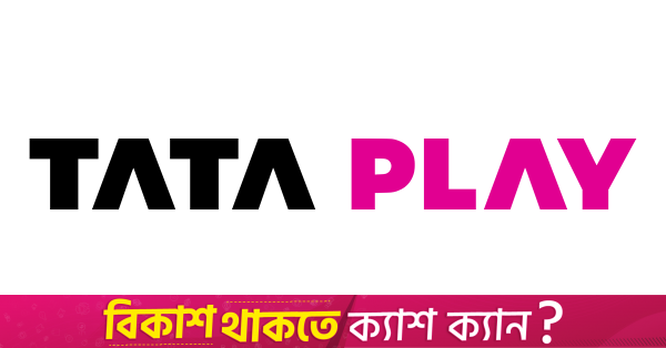 Disney, Hindistan'daki Tata Play'deki hisselerini satacak