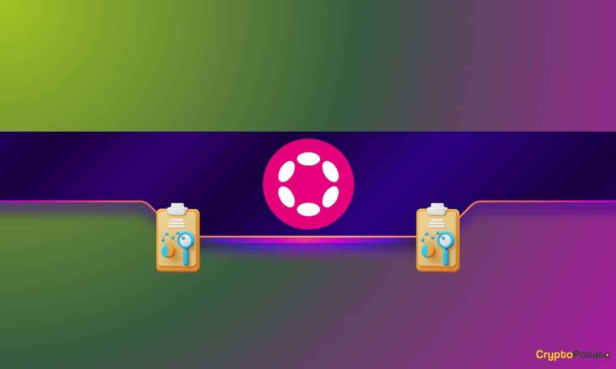 İşte Polkadot'un (DOT) 10 Dolara Doğru Yükselişinin Nedeni: Analistler