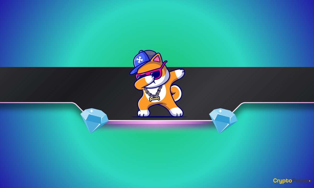 İşte Bu Shiba Inu (SHIB) Yatırımcısı 2,7 Bin Doları Nasıl 1,24 Milyon Dolara Dönüştürdü?