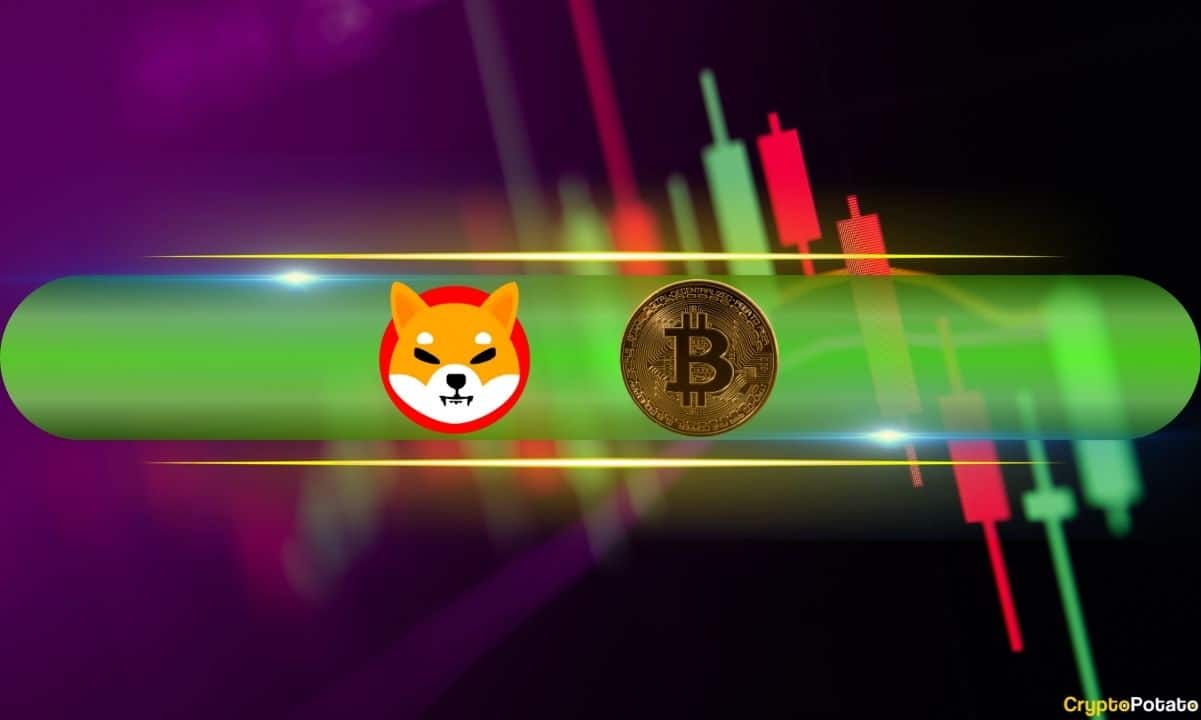 Shiba Inu (SHIB) Günde %15 Patladı, Bitcoin (BTC) 68 Bin Doları Korudu (Piyasa İzleme)