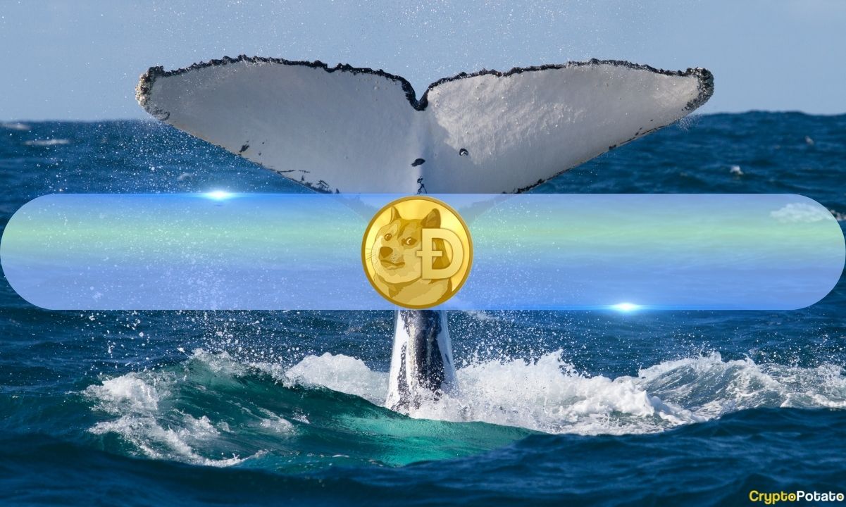 Dogecoin Balinaları Yükseliş Duygusunun Sinyalini Verdi ve 200 Milyon DOGE Topladı