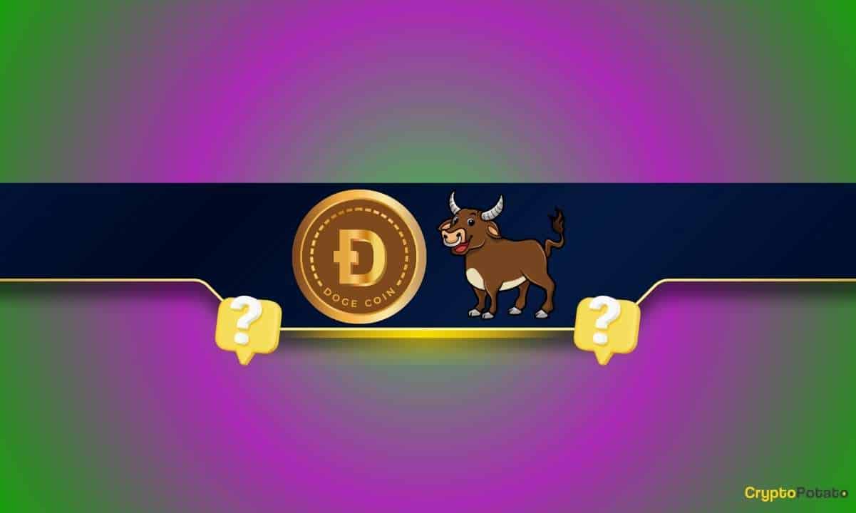 Dogecoin (DOGE) Rallisi veya Boğalar İçin Daha Fazla Acı: Meme Coin'de Sırada Ne Var?