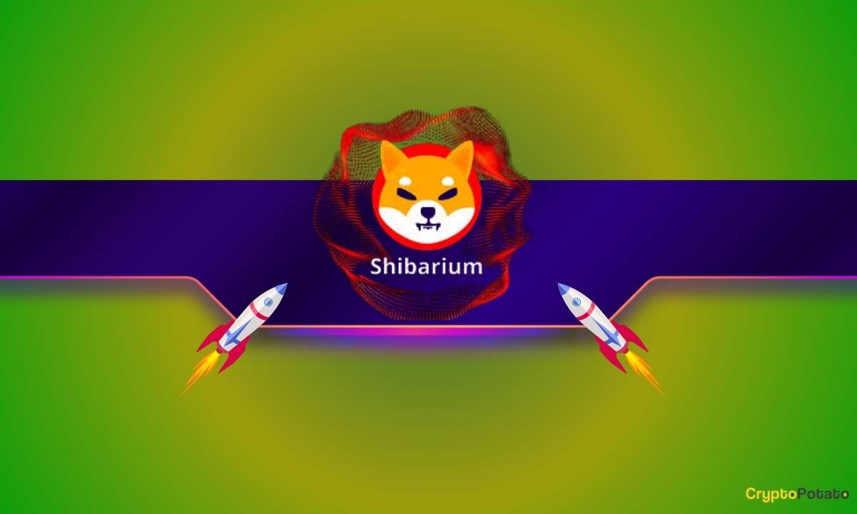 Bu Shiba Inu (SHIB) Metriği %860 Patladı: Ayrıntılar