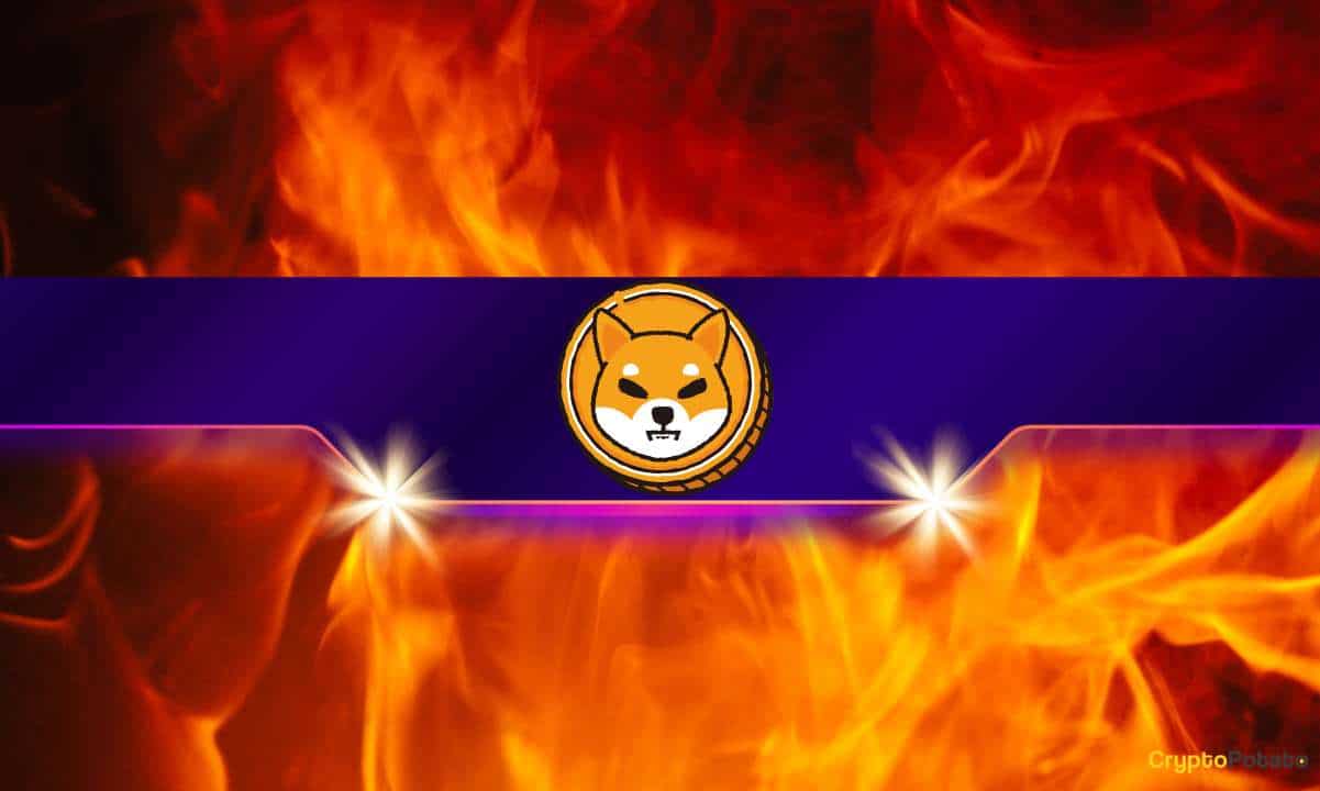 Shiba Inu Yakma Oranı %12.000 Arttı ama SHIB Fiyatı Düştü