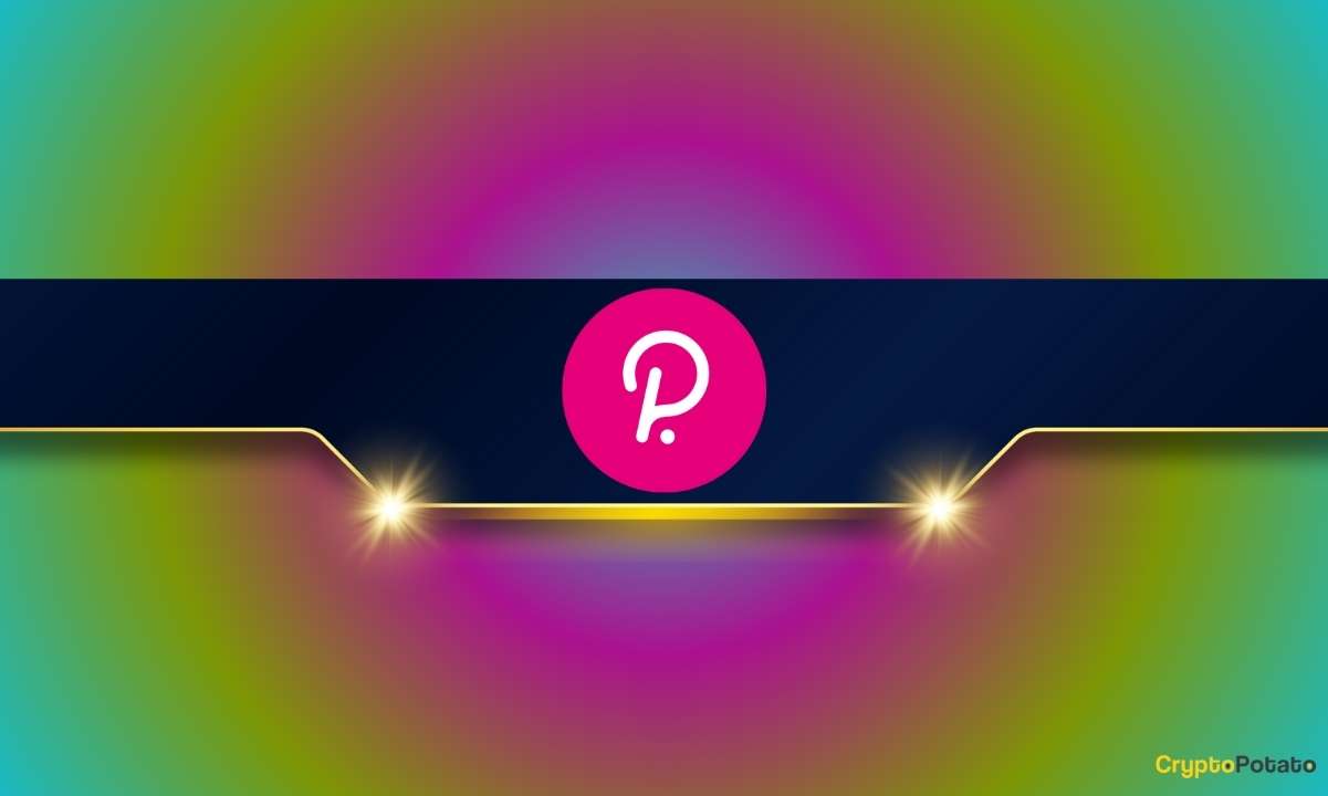 Polkadot Ekosistem Özeti: En Son Gelişmeler