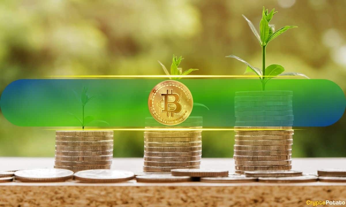 Bitcoin, Ethereum ve Meme Coin'ler Daha Yüksek Kârlı Sahip Yüzdesiyle Parlıyor